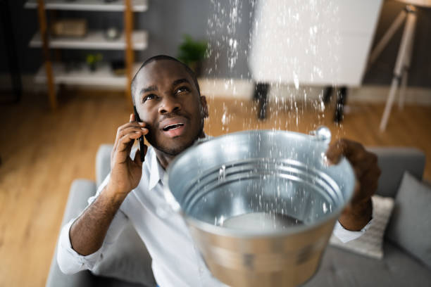 Best Local water damage restoration  in Little Cypress, TX