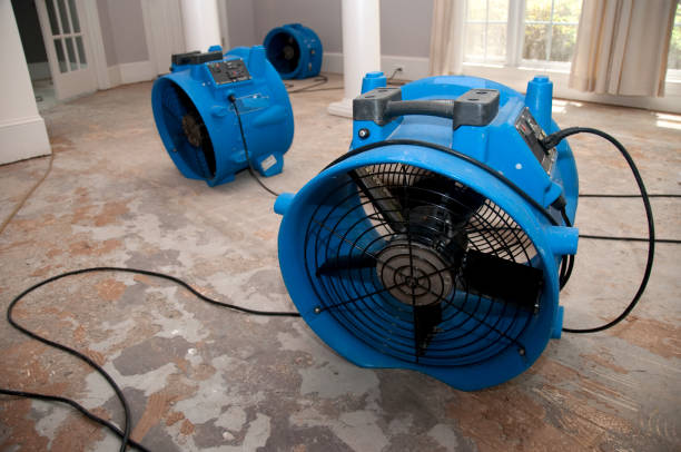 Best Residential water damage restoration  in Little Cypress, TX
