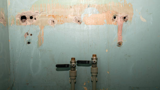 Best Flood damage cleanup  in Little Cypress, TX