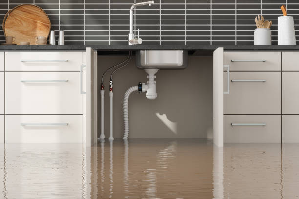 Best Flooded house restoration  in Little Cypress, TX