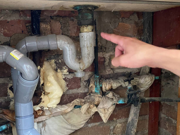 Best Water damage mitigation services  in Little Cypress, TX