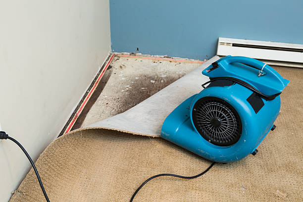 Best 24/7 water damage repair  in Little Cypress, TX